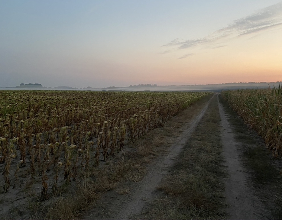 9D756DAF-2646-4D0D-8300-85DC79375A76_1_105_c
