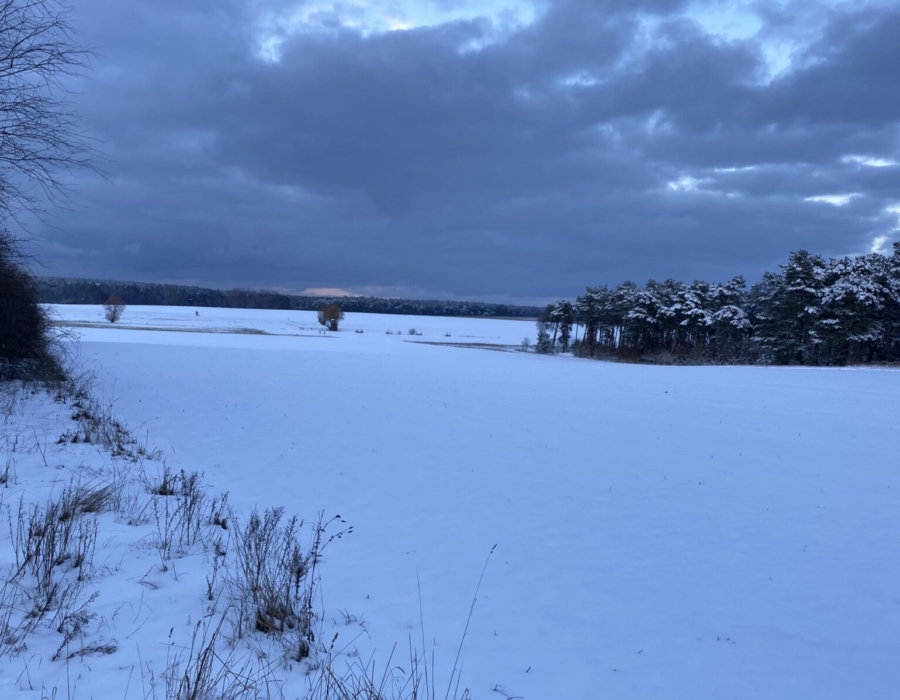 cropped-1F712366-E6AB-49F8-816E-F2A4F1107785-scaled-1.jpeg