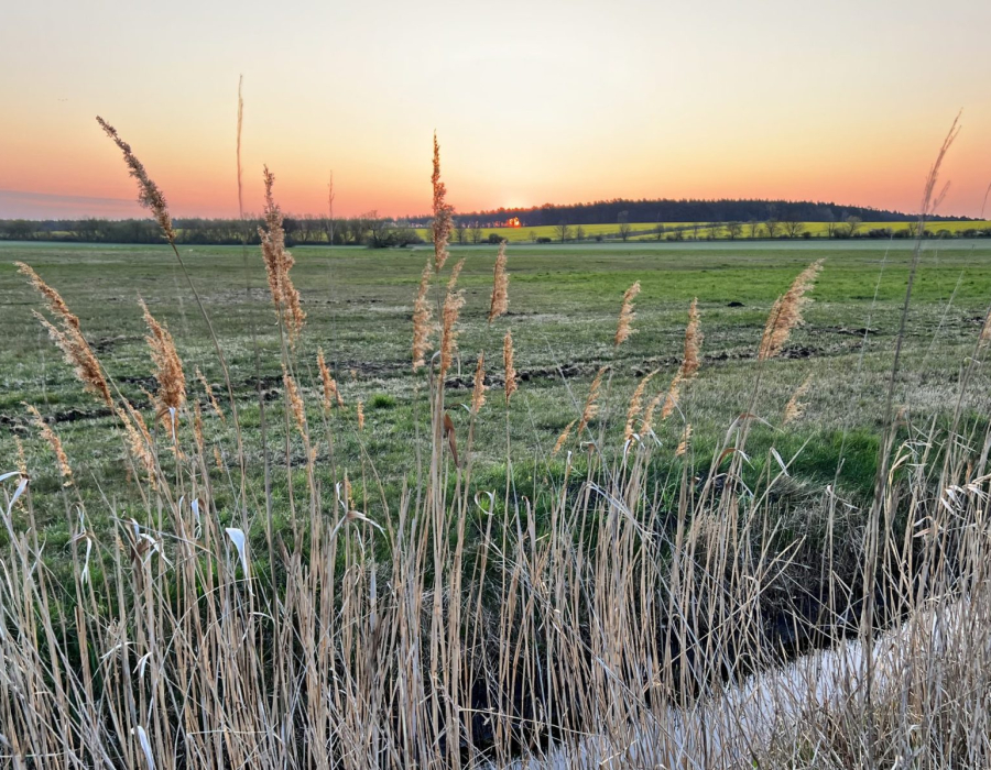 cropped-4F395A2B-FF27-460E-AD34-3D57FF552E7F-scaled-1.jpeg
